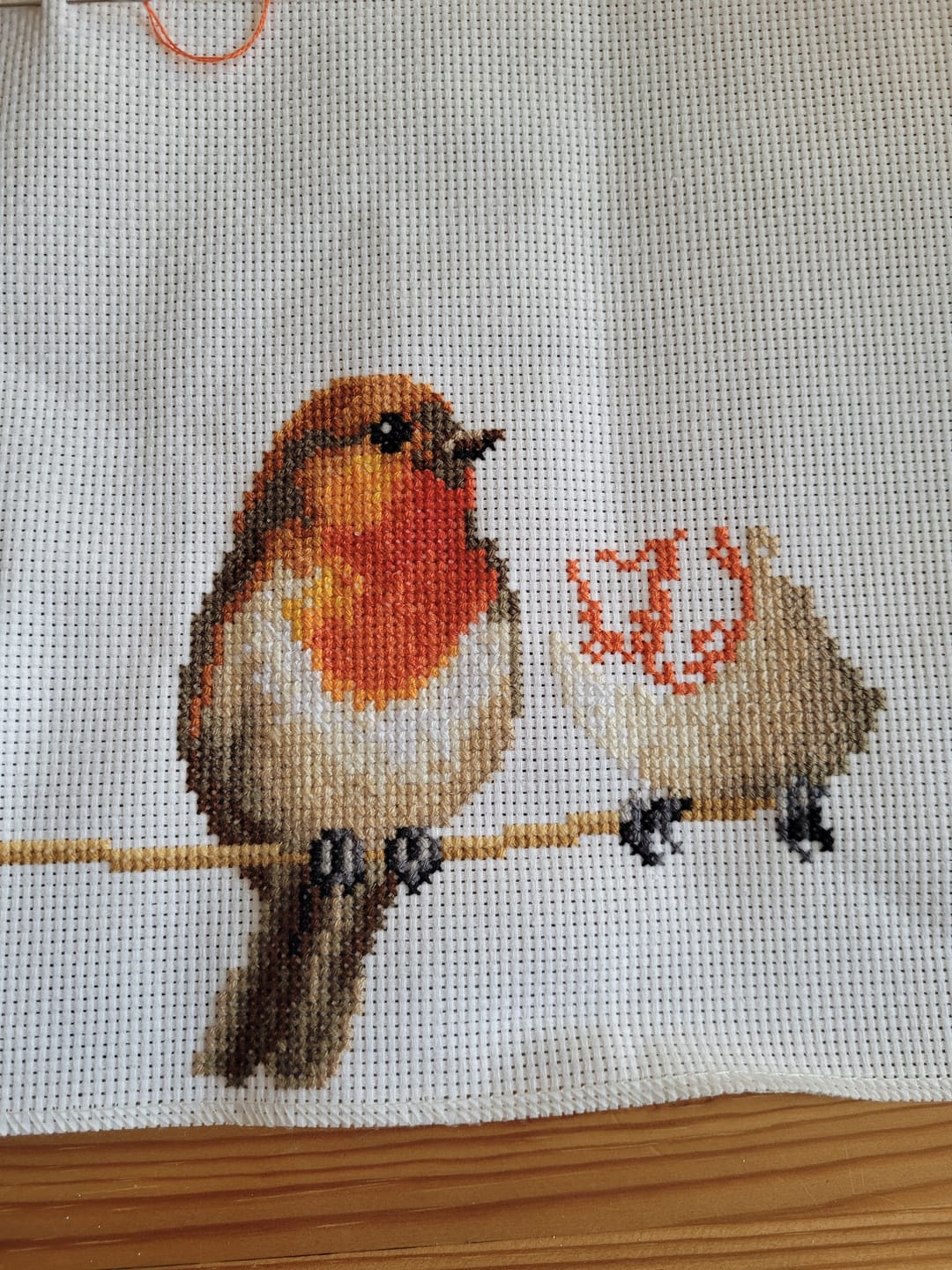 Customer photo review of Three little birds 2