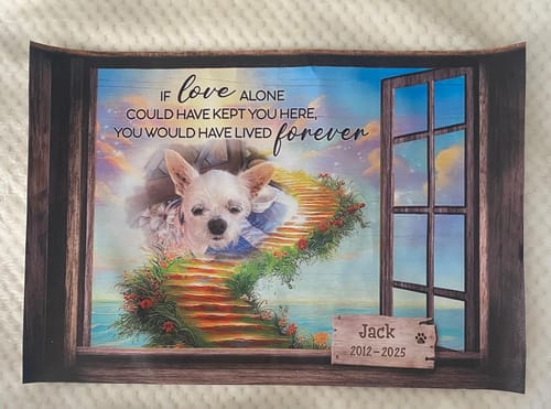 Customer photo review of Personalized Pet Memorial Photo Gift Sentimental Dog Lovers Canvas/Poster
