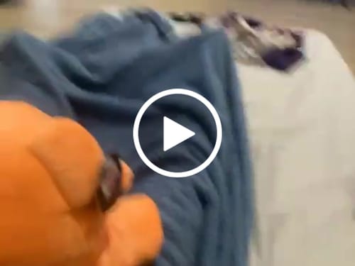 Customer video review of Fisch - Dumbo Octopus Plushie