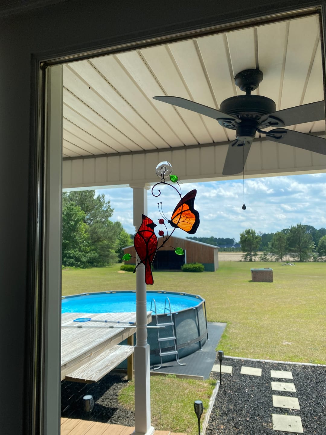 Customer photo review of Cardinal and Monarch Butterfly