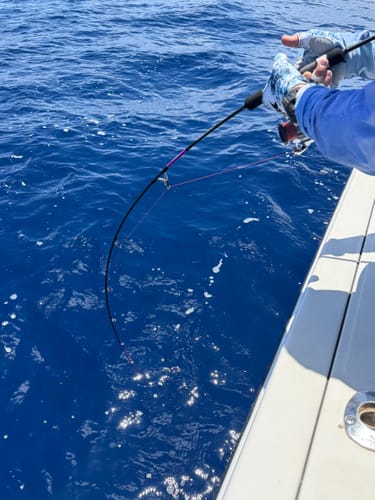 Customer photo review of Tcoedm® Solid Nano Blank Series-Three Color and Action 6'6"(195) FUJI Slow Pitch Jigging Rod