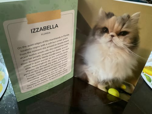 Customer photo review of Cutest Pets of the Month 2025 Photobook