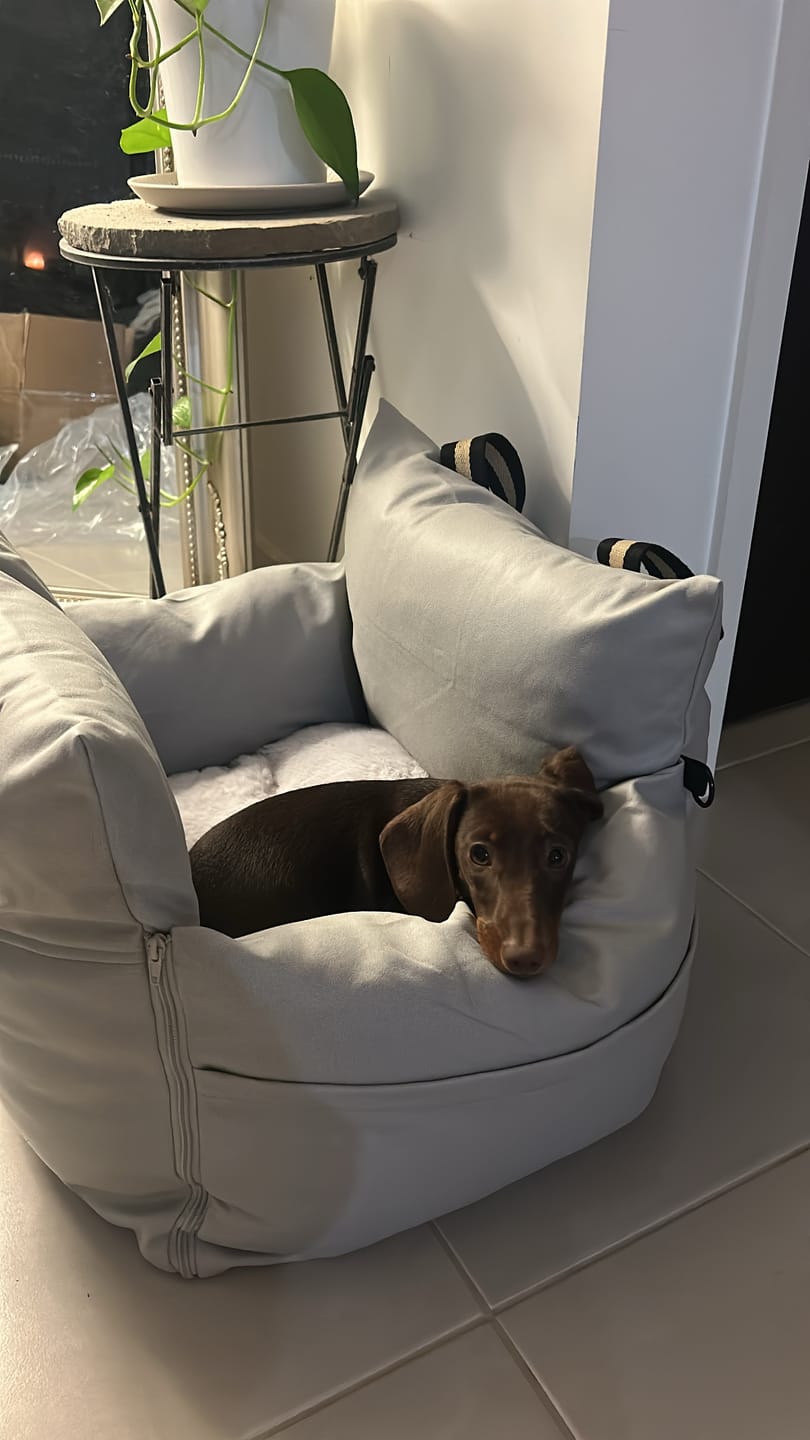 Customer photo review of Boujee Booster