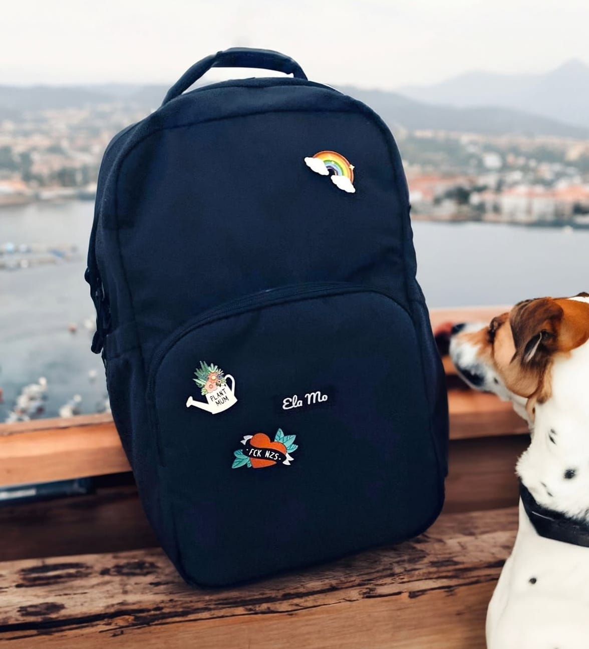 Customer photo review of Custom Enamel Pins
