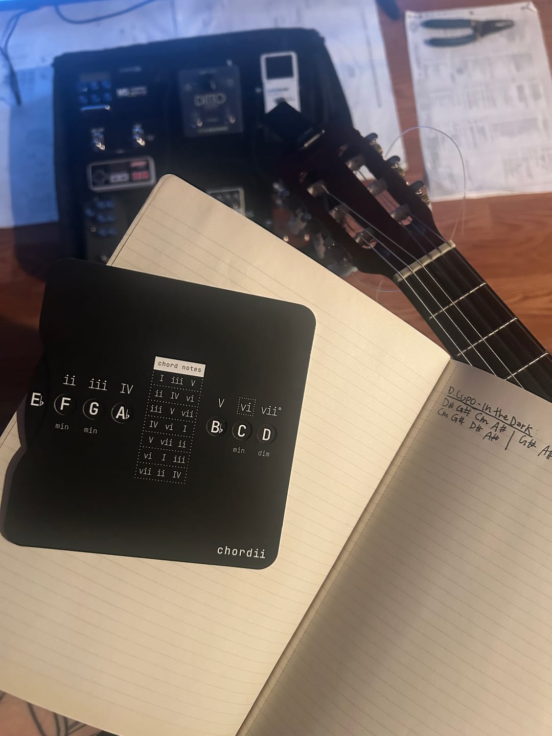 Customer photo review of Chordii