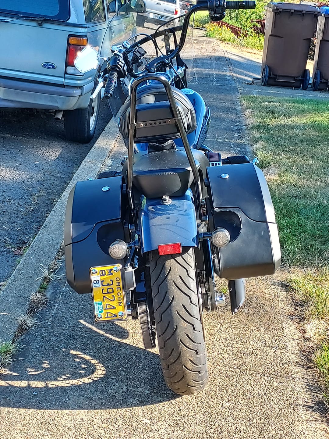 Customer photo review of 32L - Darkin Large Quick Mount Leather Wrapped Hard Saddlebags for Harley Softail Slim FLSL