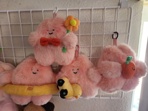 Customer photo review of RoRo's Summer Plans Series Plush Blind Box