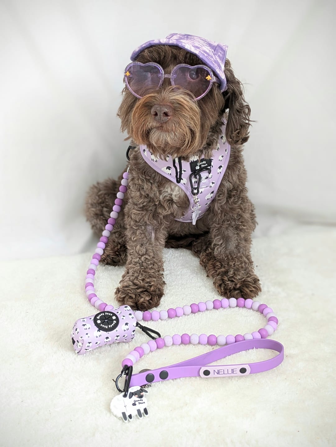 Customer photo review of Verbena Biothane Dog Lead Lead