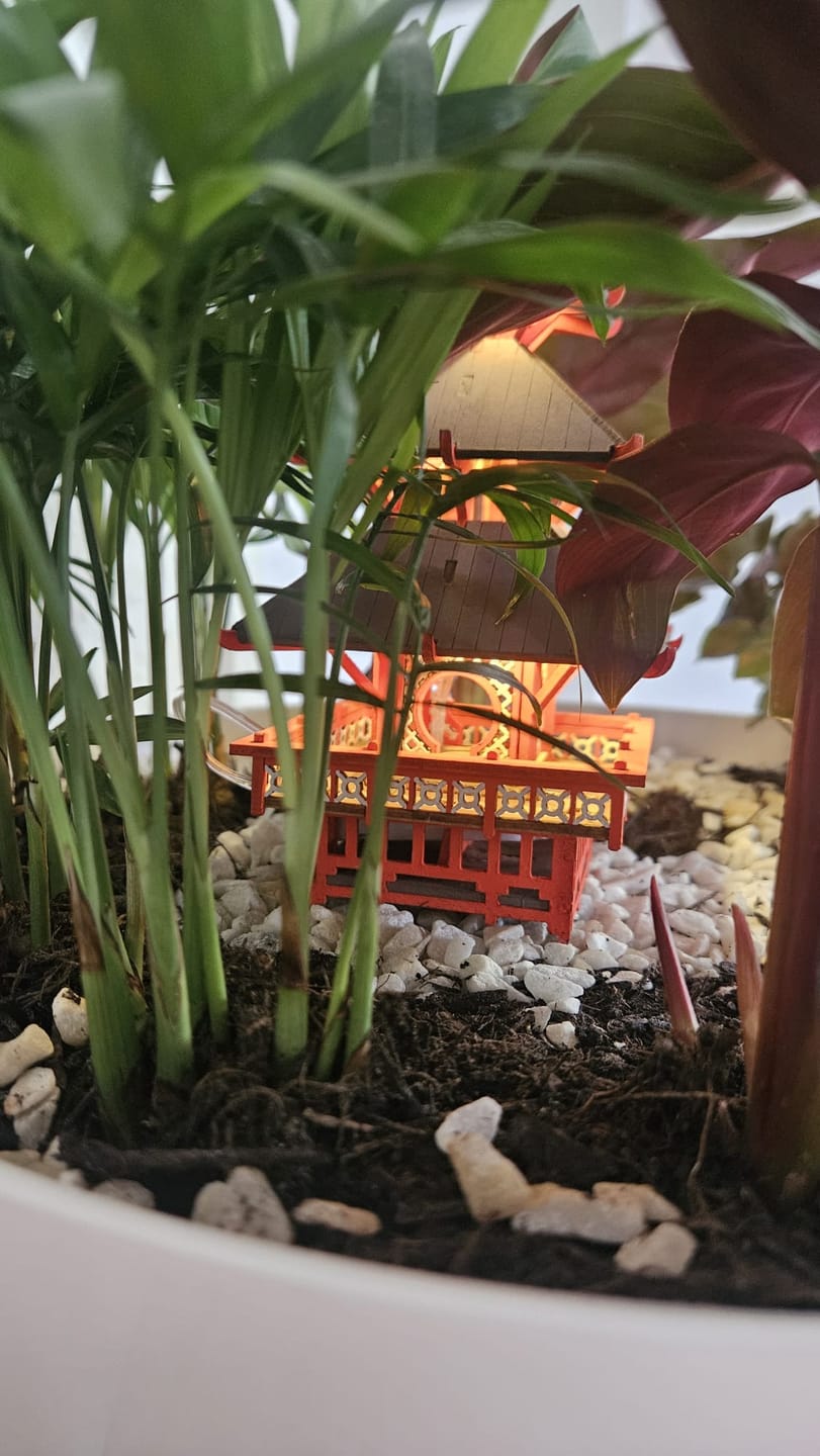 Customer photo review of Temple of Serenity