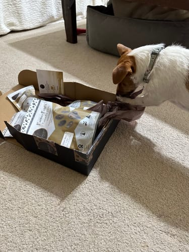 Customer photo review of Beef Meaty Bites