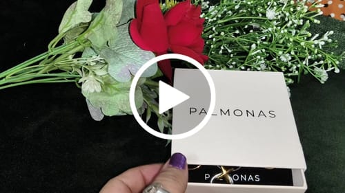 Customer video review of Interlocking Hoop Earrings
