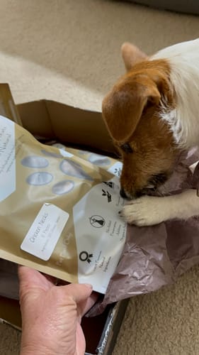 Customer photo review of Crocodile Tail Pieces