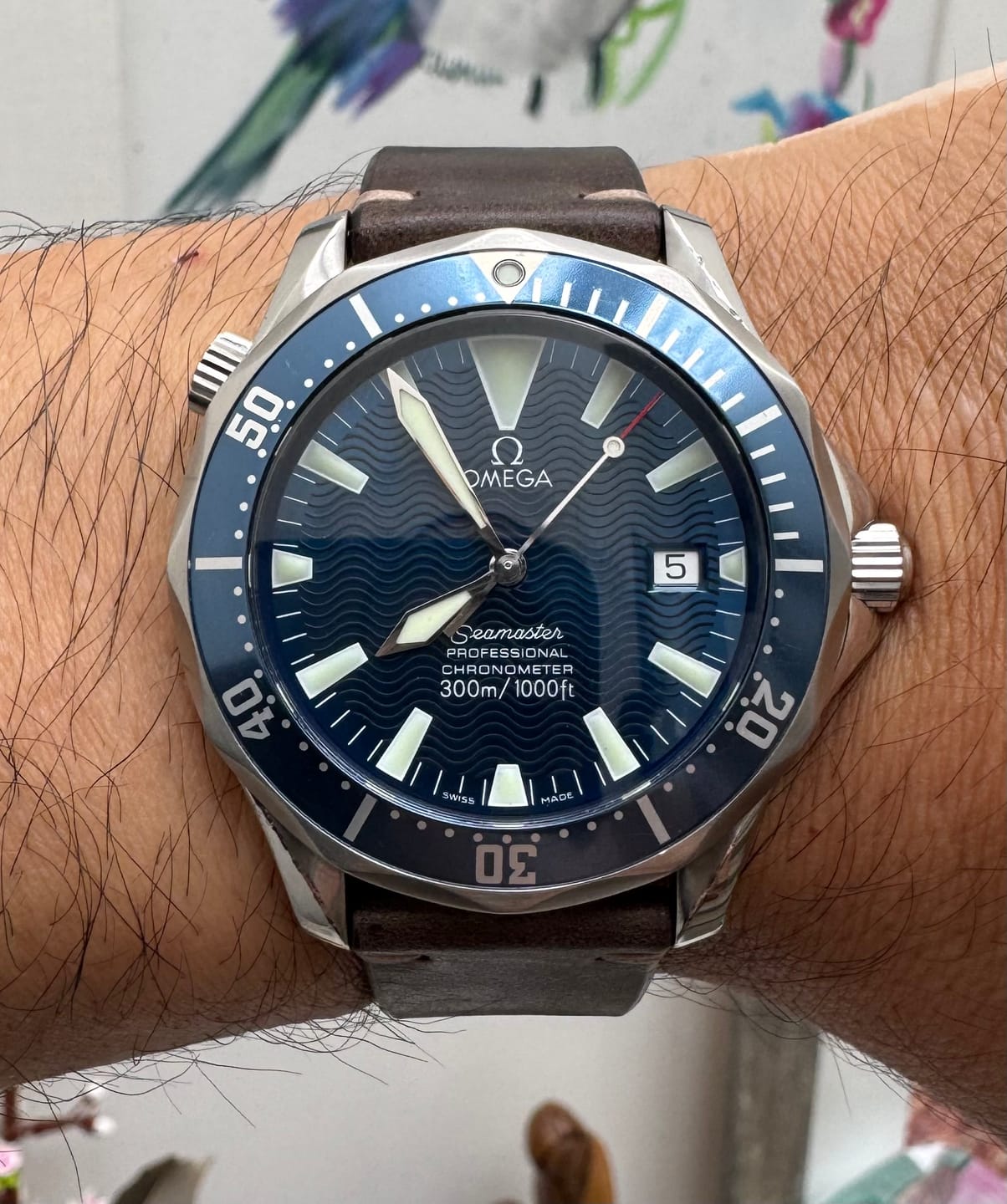 Customer photo review of Cedaro