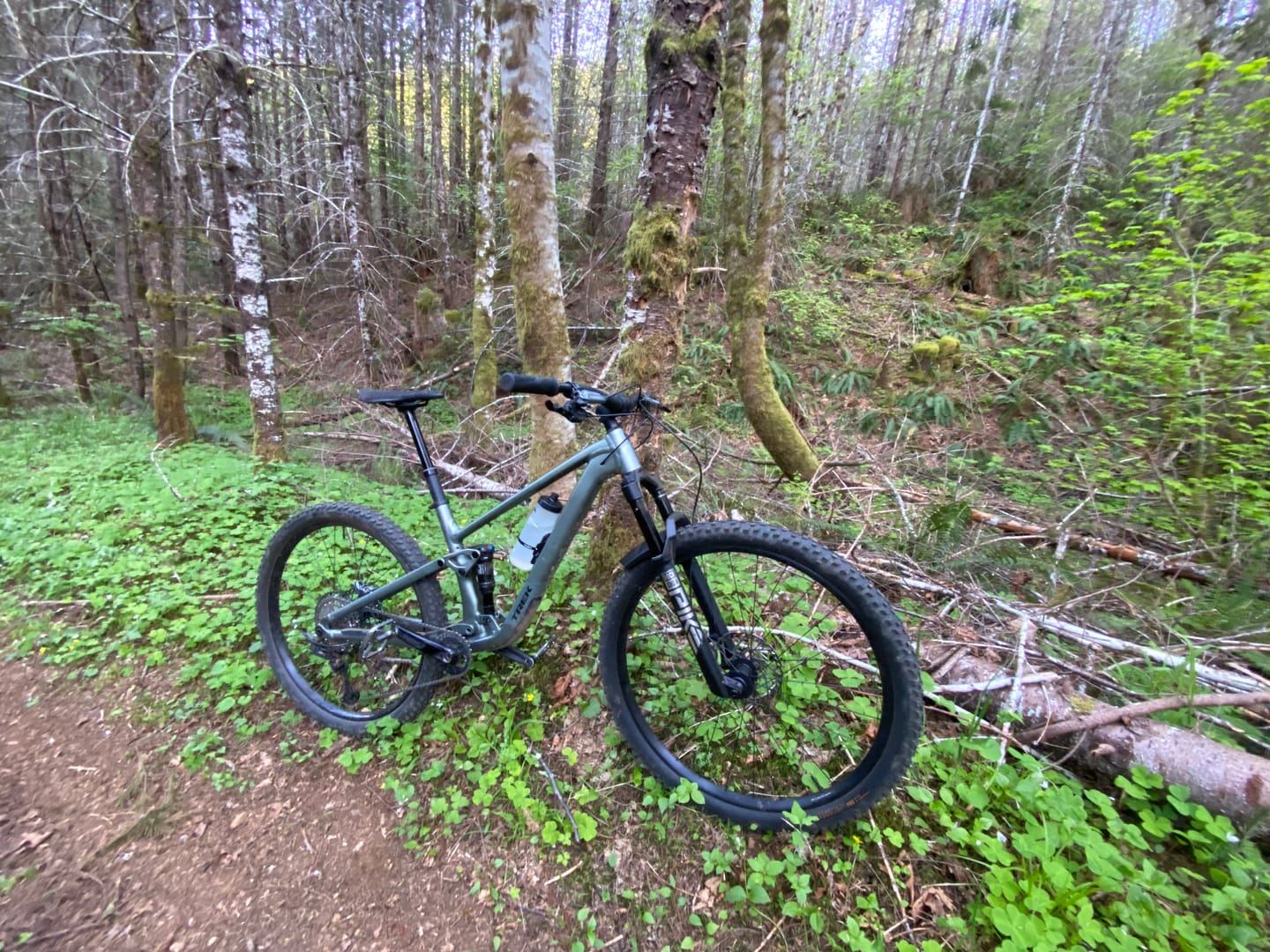 Customer photo review of Metallic RockShox Pike Fork Decal