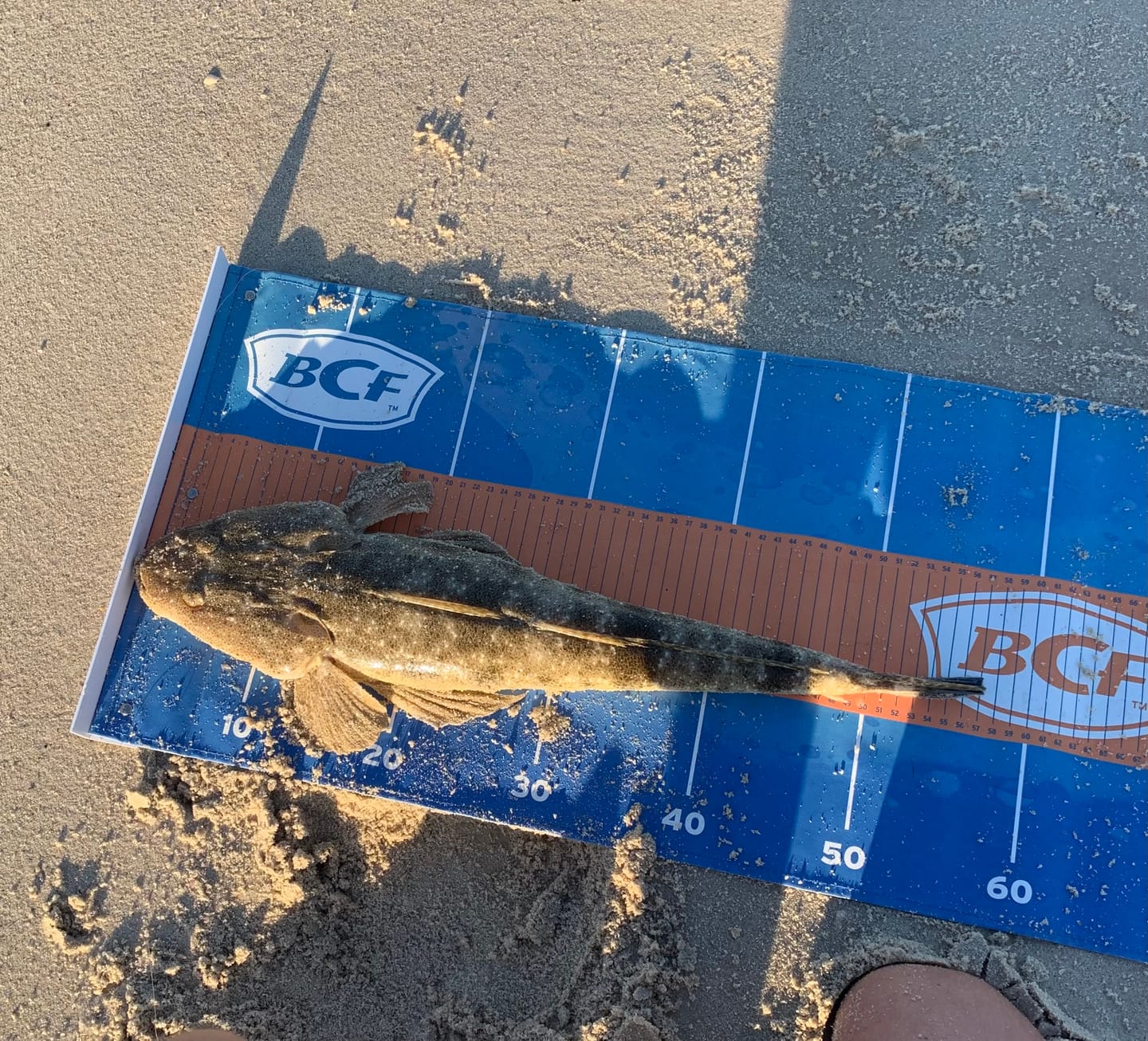 Customer photo review of DEATH SHAD
