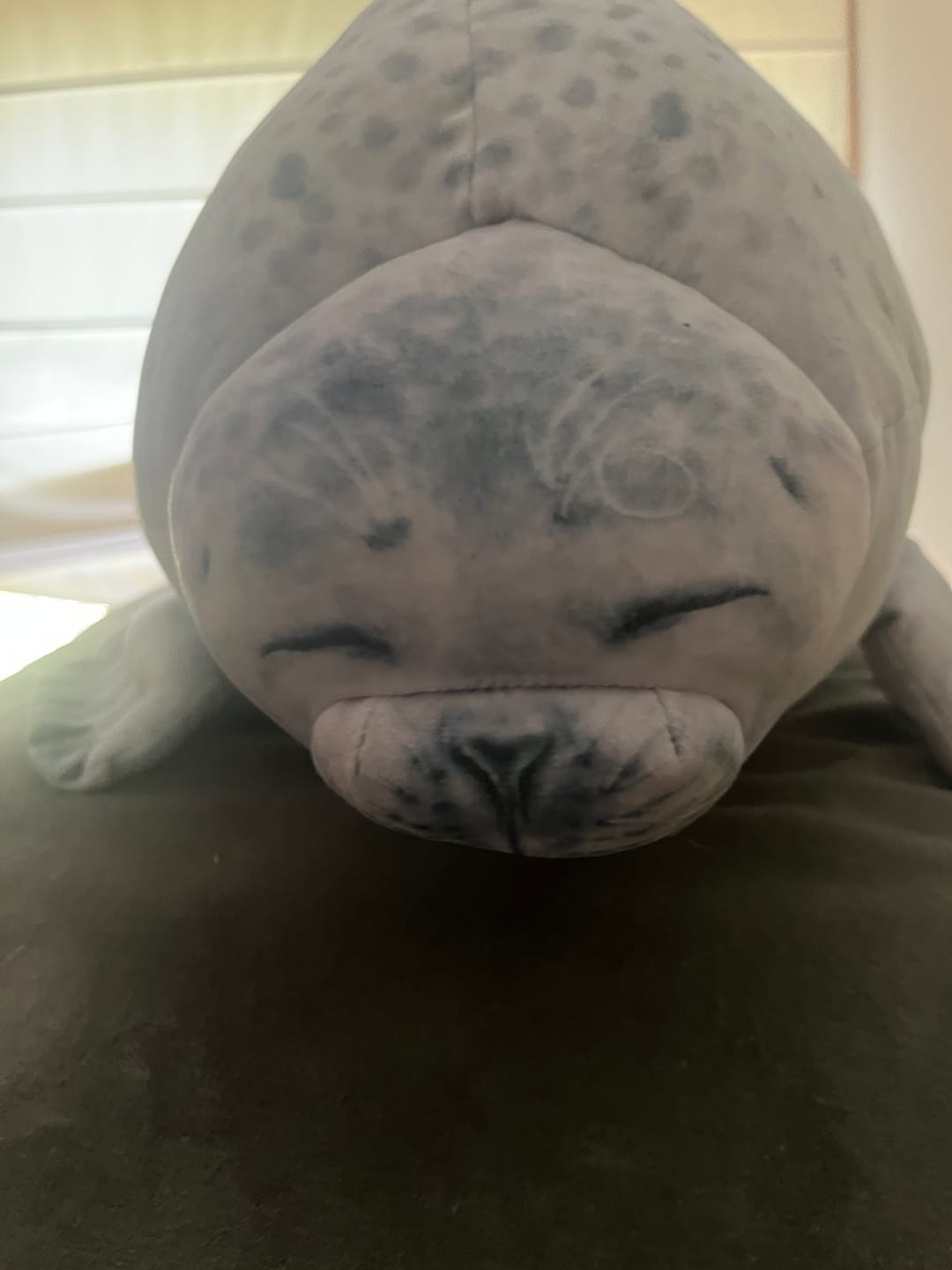 Customer photo review of Yuki-Chan Plushie "Japan's Roundest Seal" - XL (Extra Chonky)