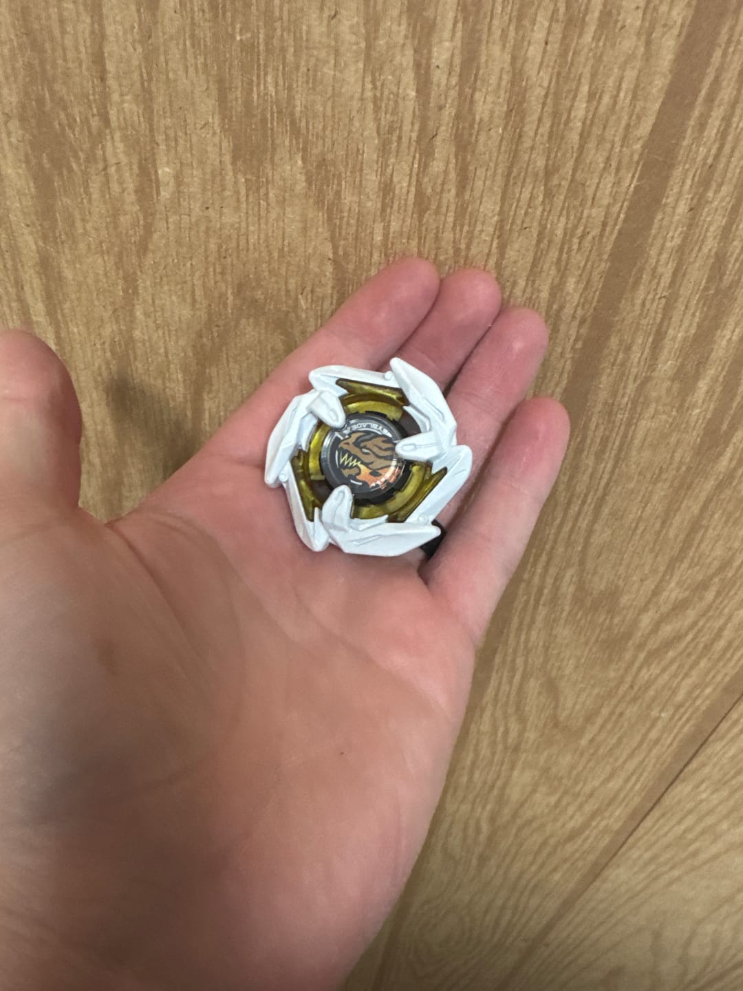 Customer photo review of Takaratomy Beyblade X UX-00 Dran Deck Starter