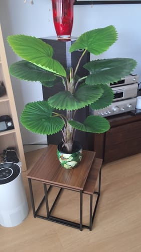 Customer photo review of Set van 2 Kunst Waaierpalmen