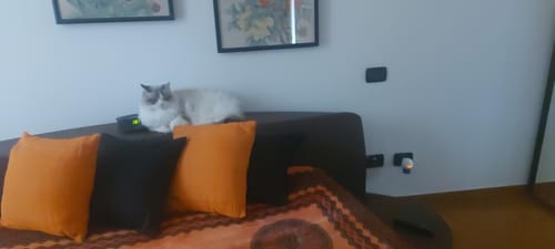 undefined review of PetNatura - Diffusore Calmante per Gatti image 1 out of 2