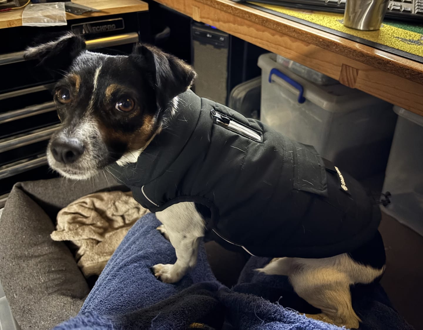 Customer photo review of WarmShield Water-Resistant Jacket - Black
