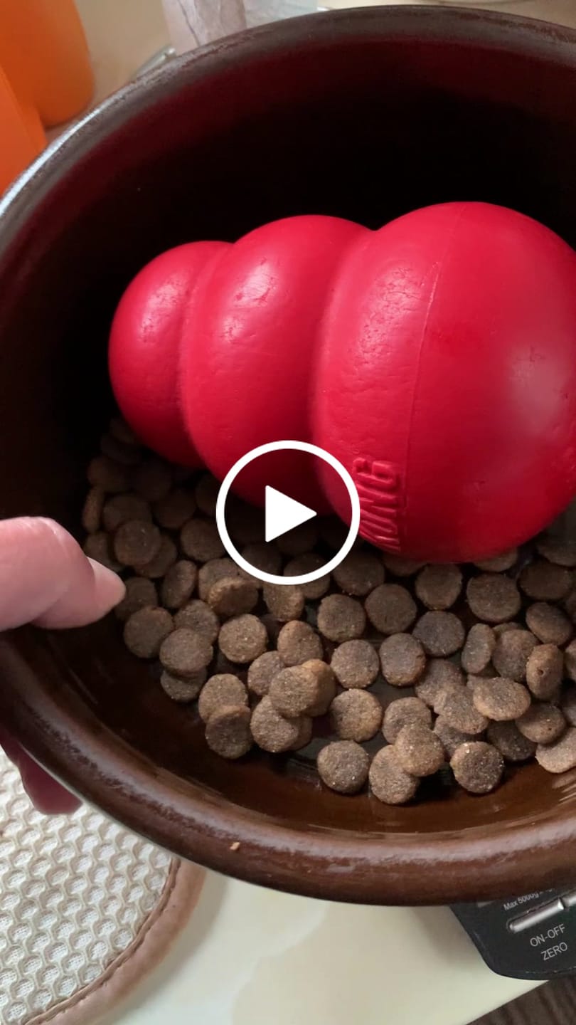 Customer video review of English Duck Dry Food