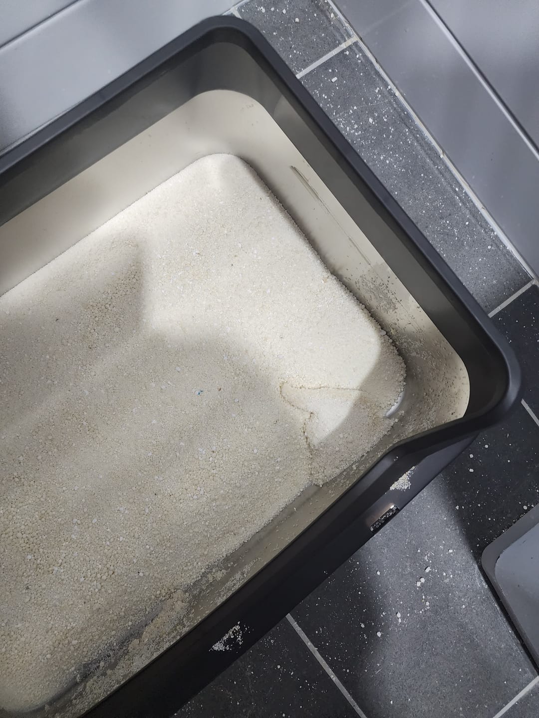 Customer photo review of Michu Wonder Litter - Plant-Based & Automatic-Box Friendly 2.5kg/6L
