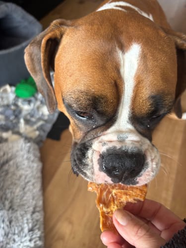 Customer photo review of Premium Chicken Chews