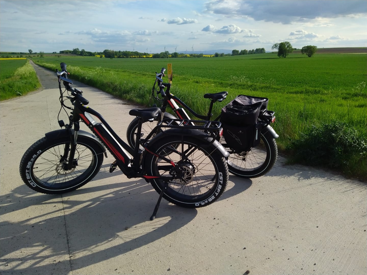 Customer photo review of JOBOBIKE Robin