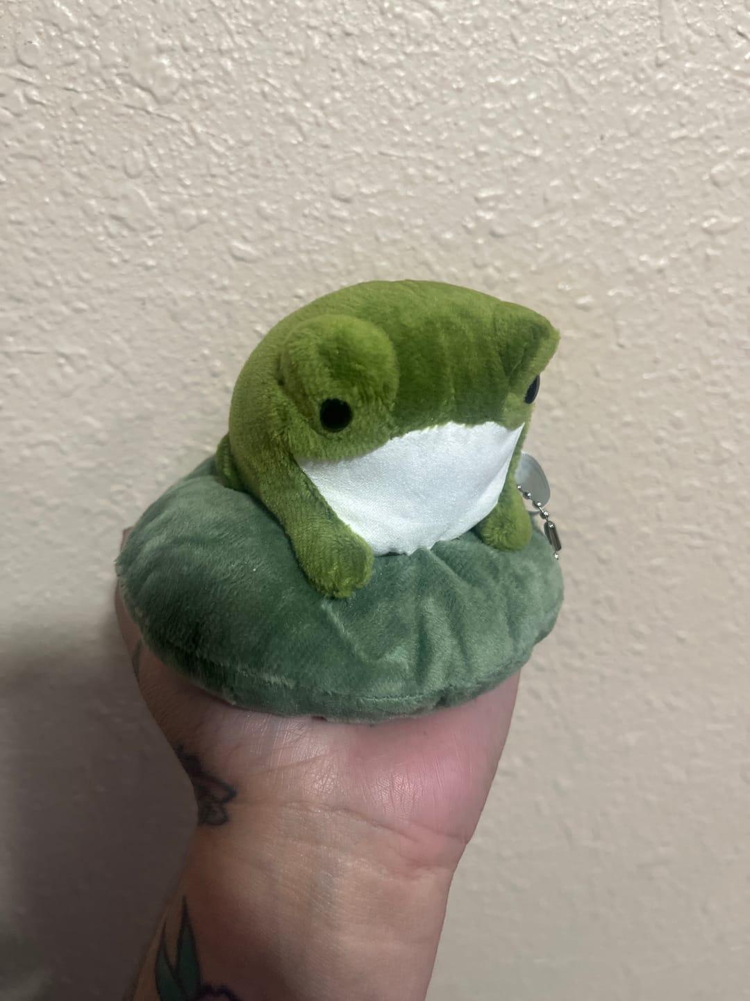 Customer photo review of Henry The Frog Sitting On Lily Pad