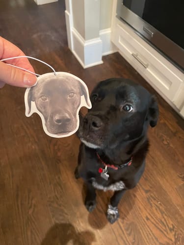 undefined review of Custom Air Freshener image 1 out of 3