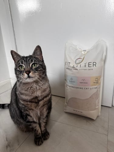 Customer photo review of 3 Month Supply - 1 Cat