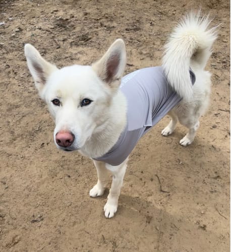 Customer photo review of Sunblock T-Shirt 3 Pack