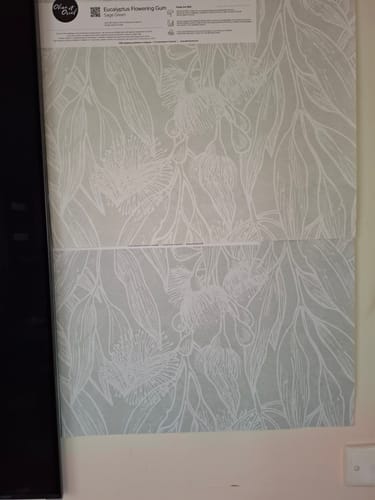 Customer photo review of Eucalyptus Flowering Gum Sage Green Wallpaper