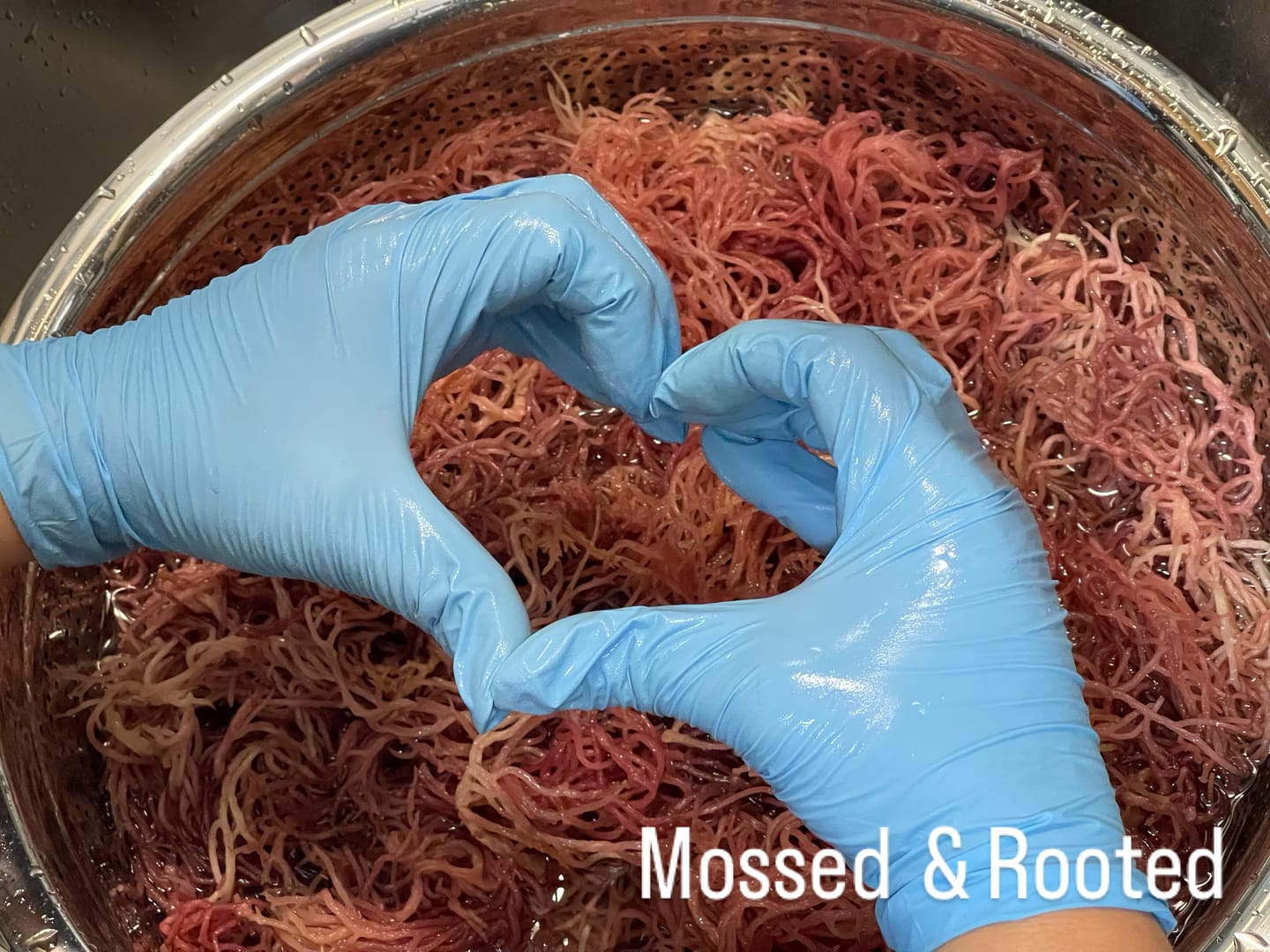 Customer photo review of Full Spectrum Wholesale Sea Moss | Bulk Wildcrafted Seamoss Mixed
