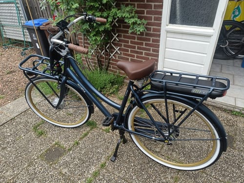 Customer photo review of E-Cargo N3