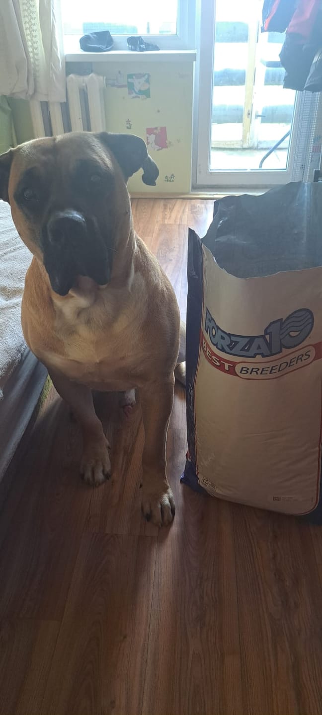Customer photo review of Best Breeders ALL BREED Adult (25/12) ar briedi un kartupeļiem