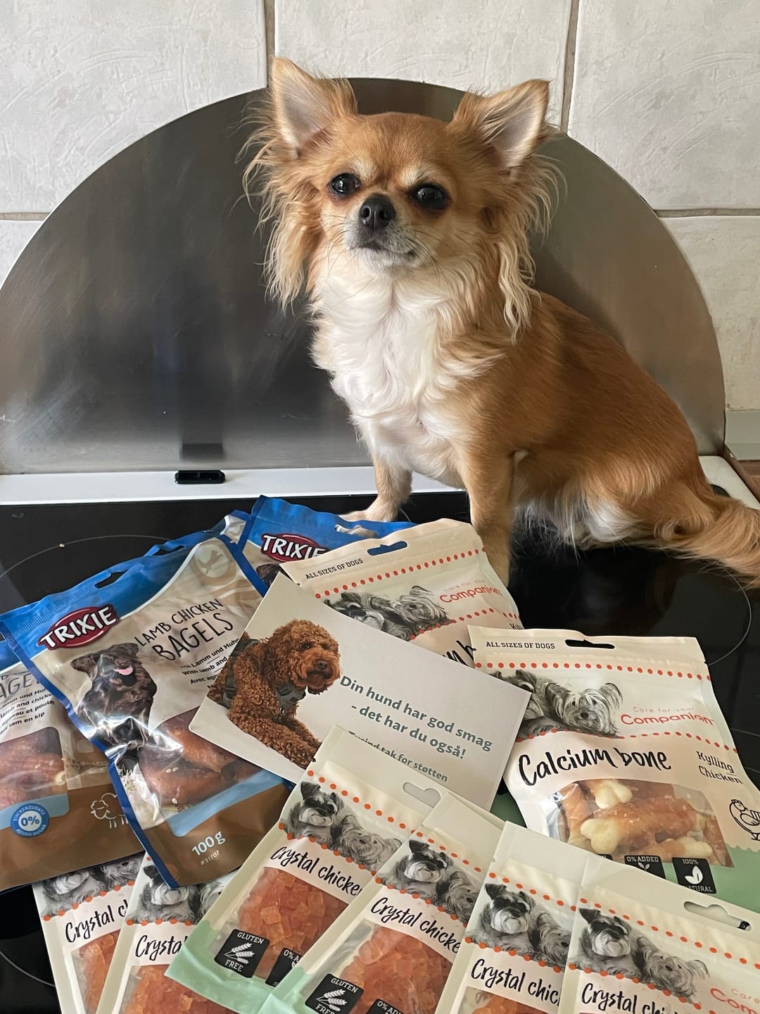 Customer photo review of Companion - Mini Kylling Stykker for Hvalpe