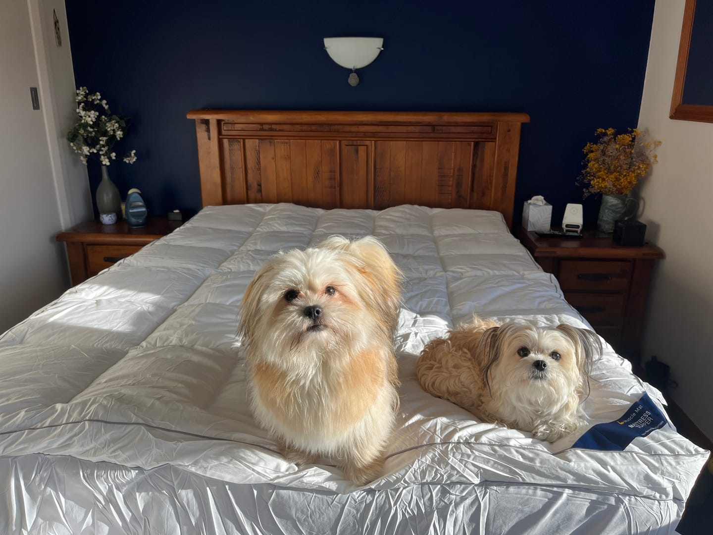 Customer photo review of Muscle Mat Luxury Mattress Topper
