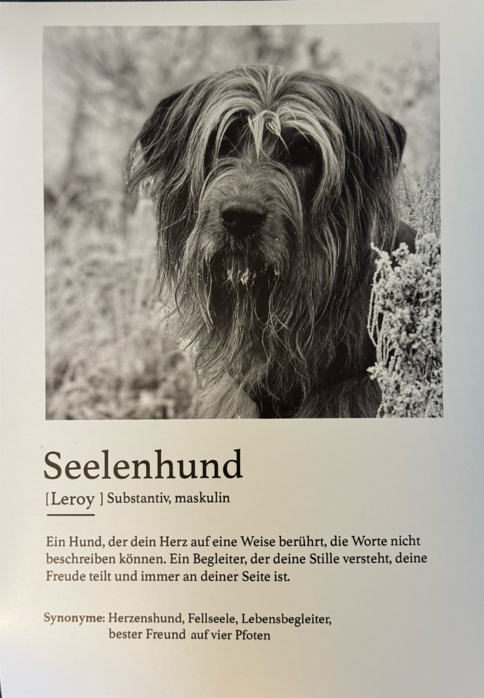 Customer photo review of Definition Seelentier - Individuelles Poster