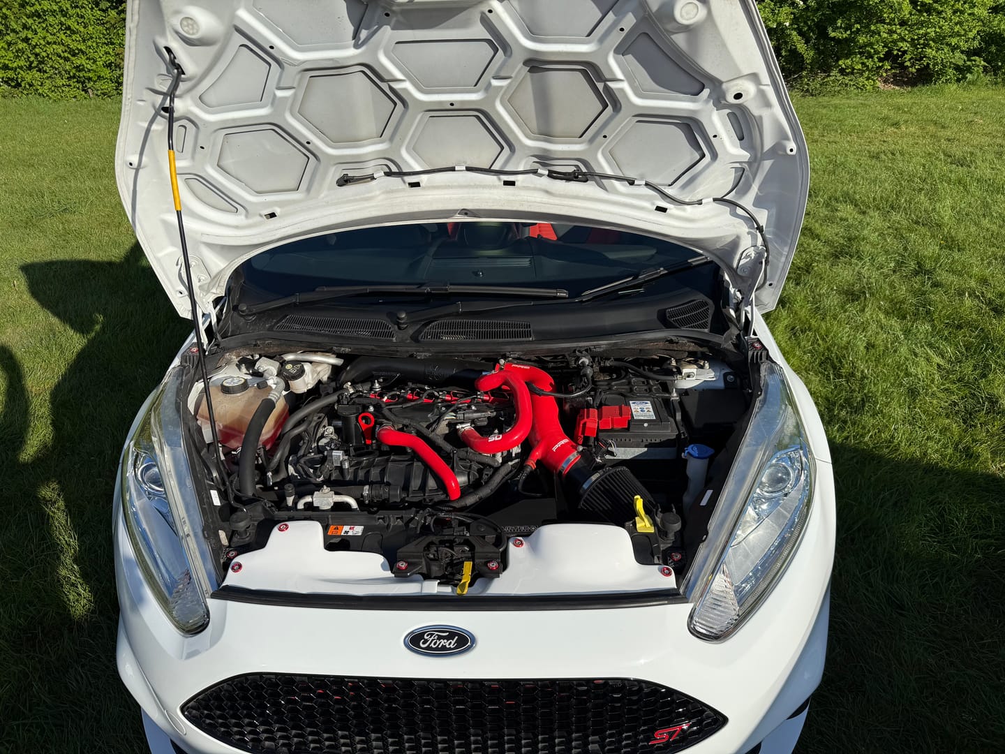 Customer photo review of Proform Engine Bay Slam Panel Covers - MK7.5 Fiesta (Plastic Finishes)