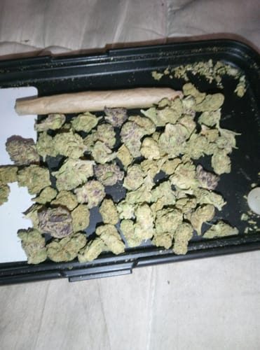 Customer photo review of Gorilla Glue Greenhouse THCA