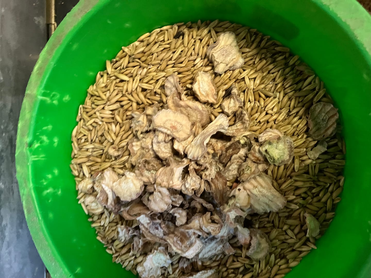 Customer photo review of Karotten Chips
