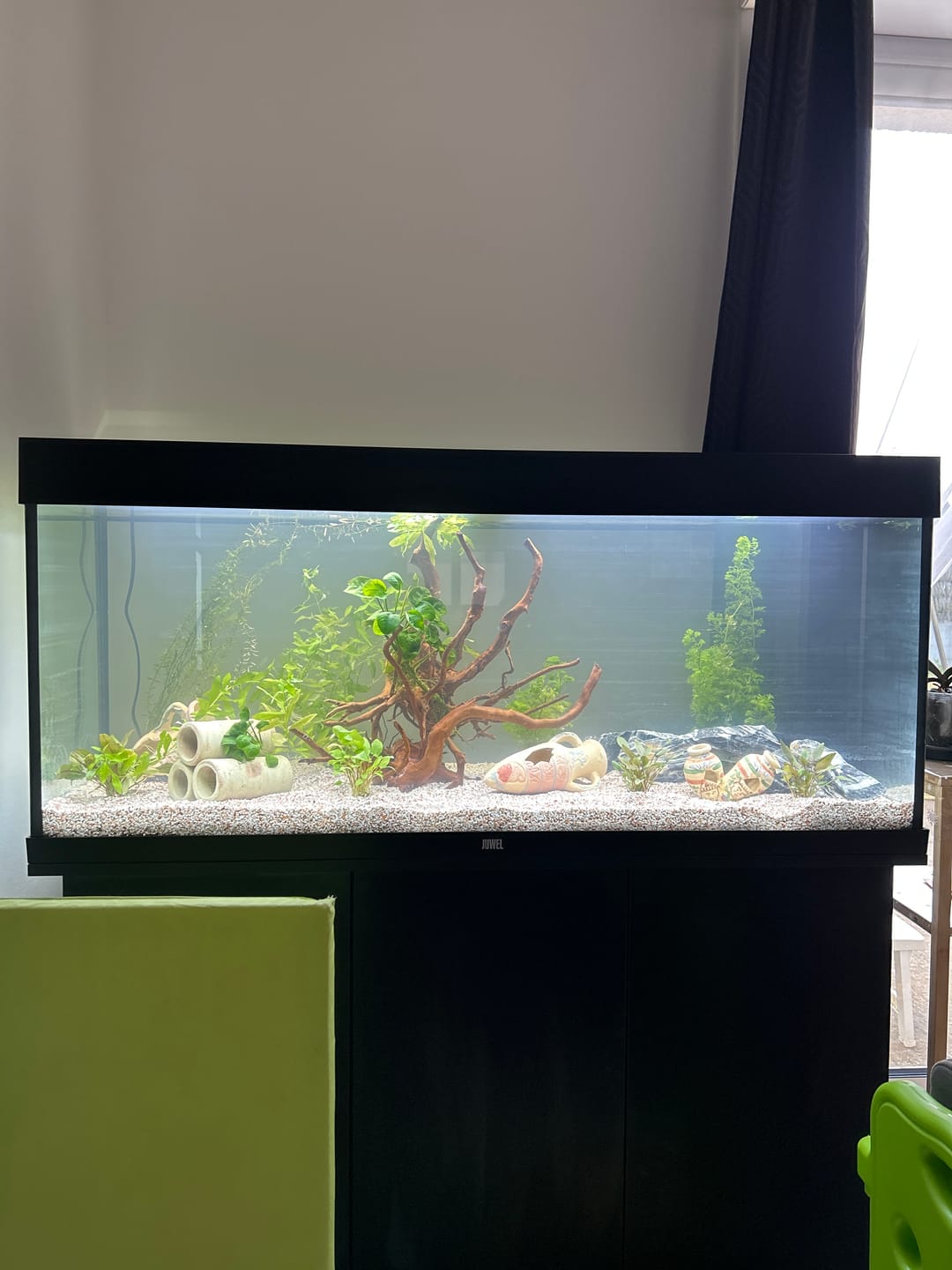 Customer photo review of Aquarium Rio 240 LED Noir Équipé JUWEL - 240L