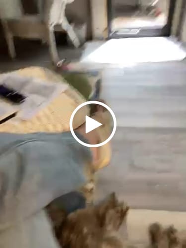 Customer video review of USA Turkey Tendons