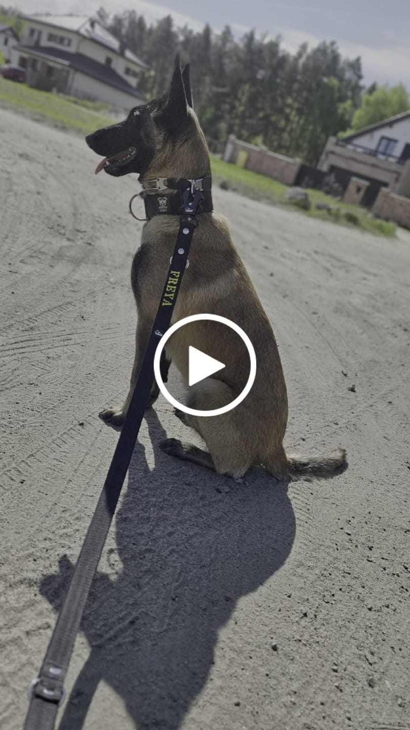 Customer video review of Smycz przepinana dla psa z imieniem - Personal Multi Leash