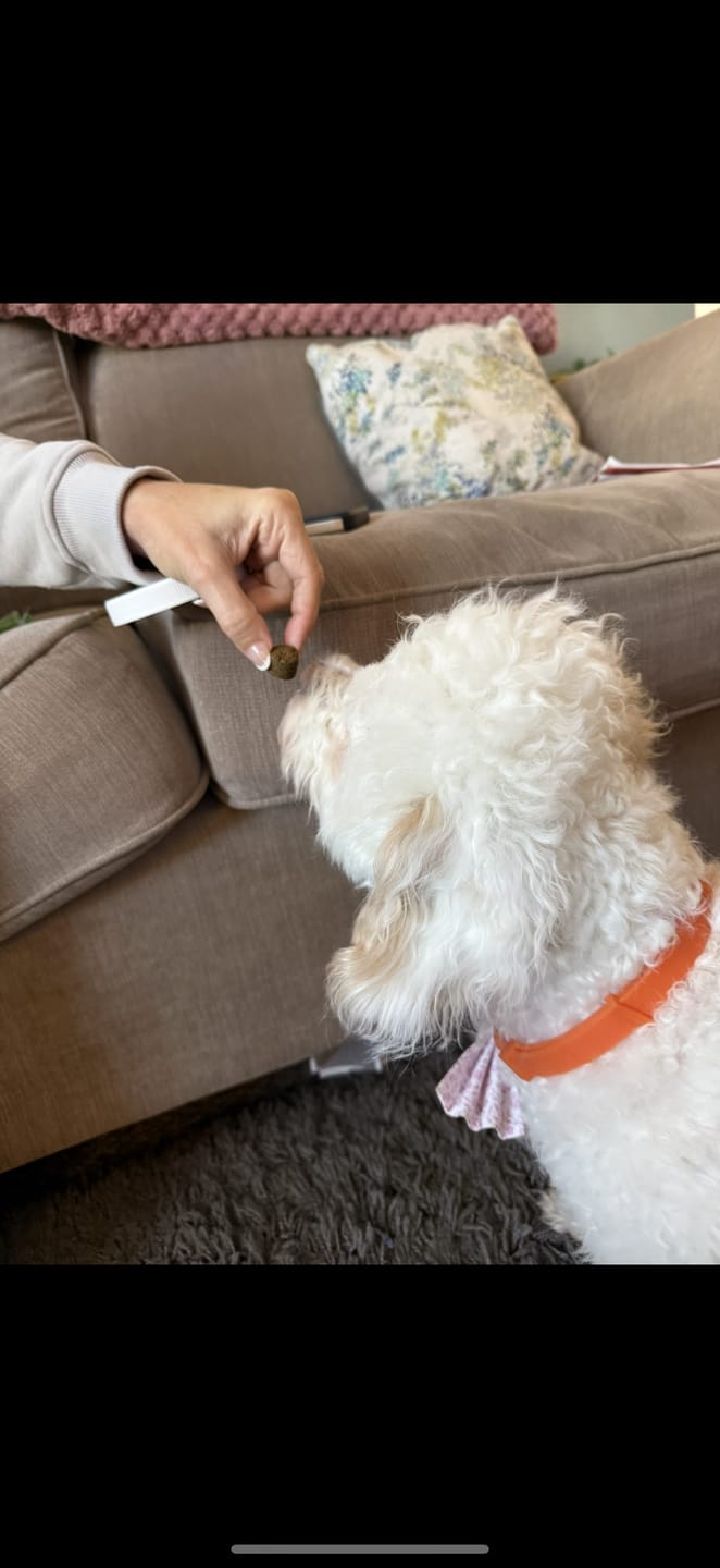 Customer photo review of Calming Treats