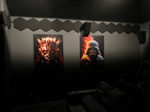 Customer photo review of The Power of the Force