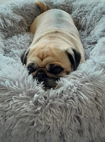 Customer photo review of CalmBed - Motverkar stress & hjälper mot ångest