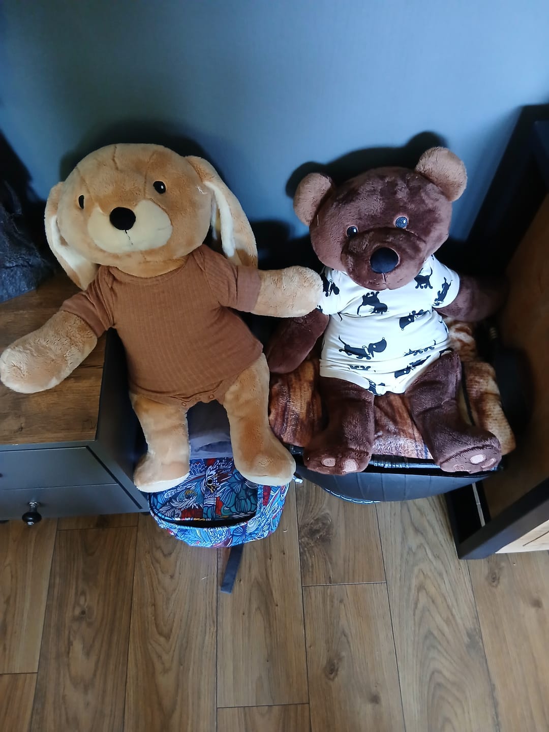 Customer photo review of Bestseller voordeelbundel - Beer en hond - Je bespaart €33