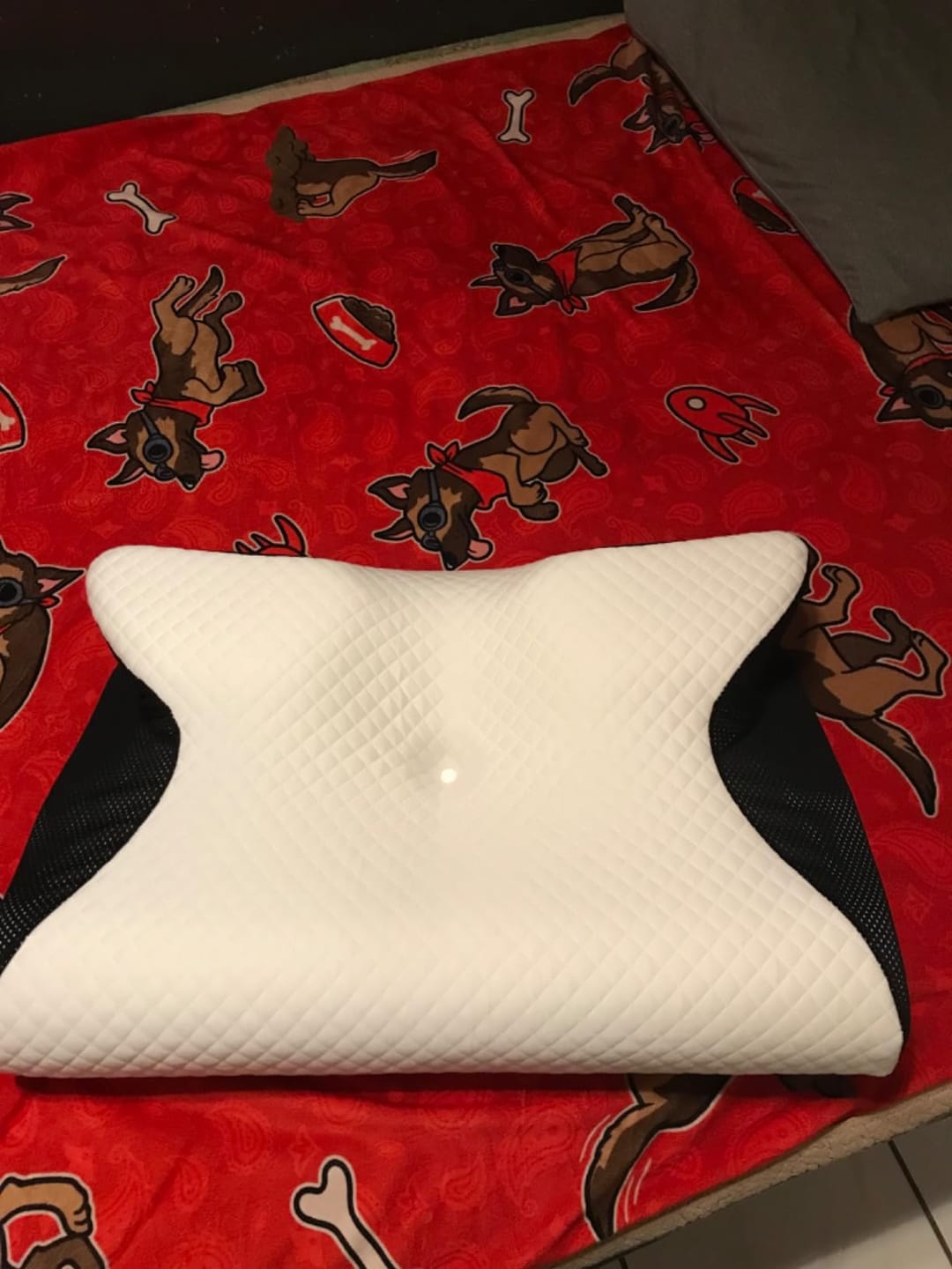 Customer photo review of Dreamers® Relief Pillow